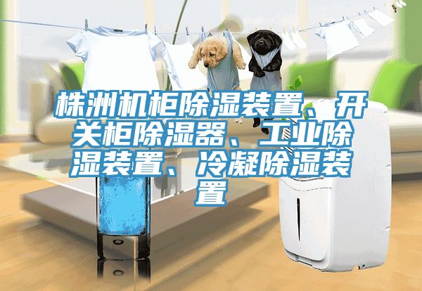 株洲機柜除濕裝置、開關柜除濕器、工業(yè)除濕裝置、冷凝除濕裝置