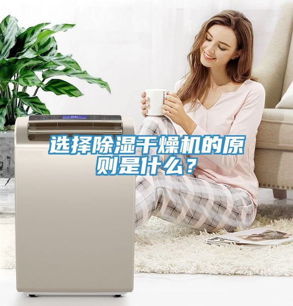 選擇除濕干燥機的原則是什么？