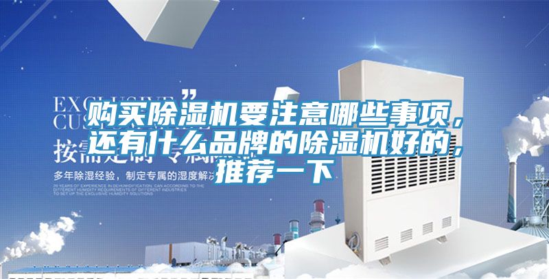 購(gòu)買除濕機(jī)要注意哪些事項(xiàng)，還有什么品牌的除濕機(jī)好的，推薦一下
