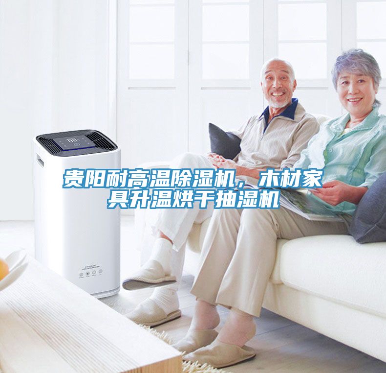 貴陽耐高溫除濕機(jī)，木材家具升溫烘干抽濕機(jī)