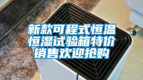 新款可程式恒溫恒濕試驗(yàn)箱特價銷售歡迎搶購