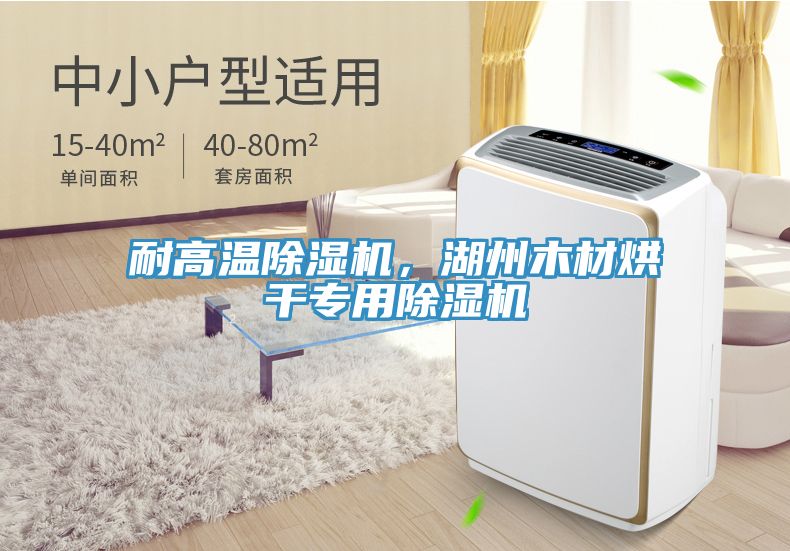 耐高溫除濕機，湖州木材烘干專用除濕機