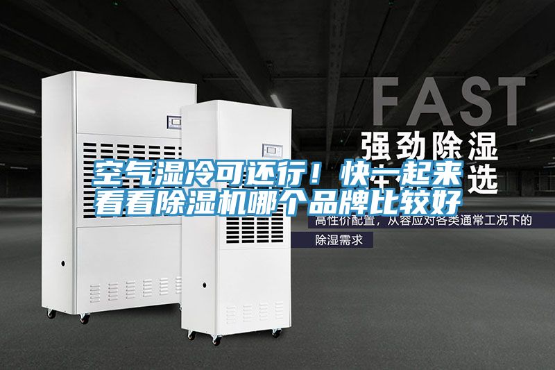 空氣濕冷可還行！快一起來看看除濕機(jī)哪個(gè)品牌比較好