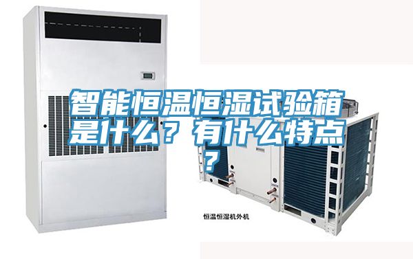 智能恒溫恒濕試驗(yàn)箱是什么？有什么特點(diǎn)？