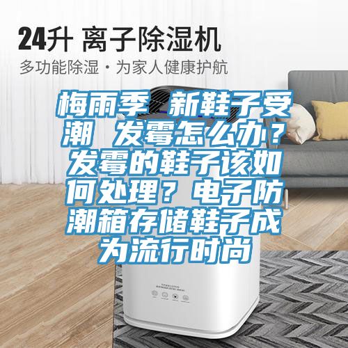 梅雨季 新鞋子受潮 發(fā)霉怎么辦？發(fā)霉的鞋子該如何處理？電子防潮箱存儲鞋子成為流行時尚