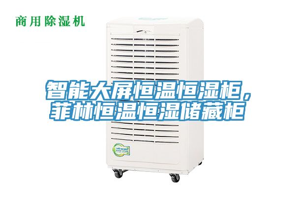 智能大屏恒溫恒濕柜，菲林恒溫恒濕儲(chǔ)藏柜