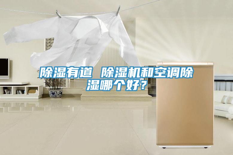 除濕有道 除濕機(jī)和空調(diào)除濕哪個好？