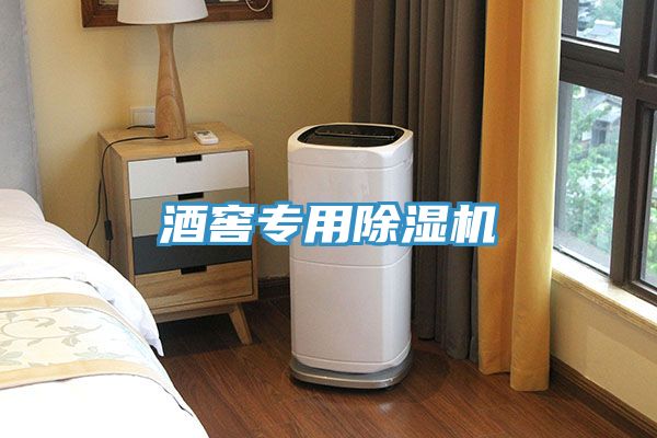 酒窖專(zhuān)用除濕機(jī)