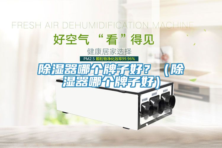 除濕器哪個(gè)牌子好？（除濕器哪個(gè)牌子好）