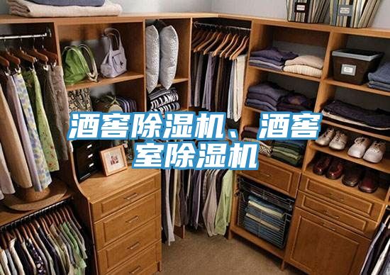 酒窖除濕機(jī)、酒窖室除濕機(jī)