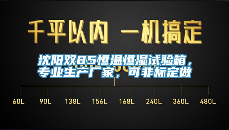 沈陽(yáng)雙85恒溫恒濕試驗(yàn)箱，專業(yè)生產(chǎn)廠家，可非標(biāo)定做