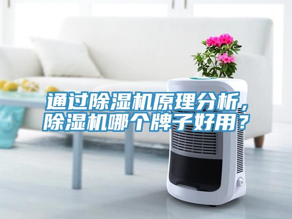 通過除濕機(jī)原理分析，除濕機(jī)哪個牌子好用？