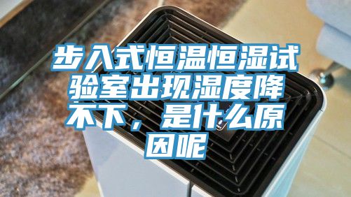 步入式恒溫恒濕試驗室出現(xiàn)濕度降不下，是什么原因呢