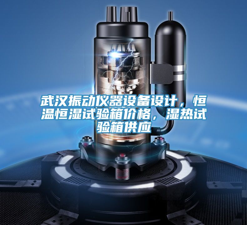 武漢振動(dòng)儀器設(shè)備設(shè)計(jì)，恒溫恒濕試驗(yàn)箱價(jià)格，濕熱試驗(yàn)箱供應(yīng)