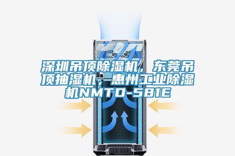 深圳吊頂除濕機(jī)，東莞吊頂抽濕機(jī)，惠州工業(yè)除濕機(jī)NMTD-581E