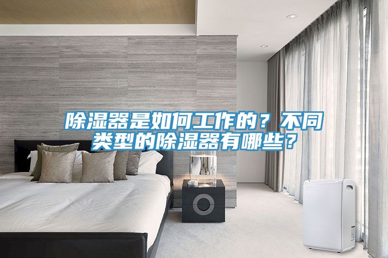 除濕器是如何工作的？不同類型的除濕器有哪些？