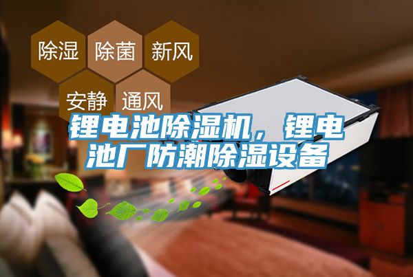 鋰電池除濕機，鋰電池廠防潮除濕設(shè)備