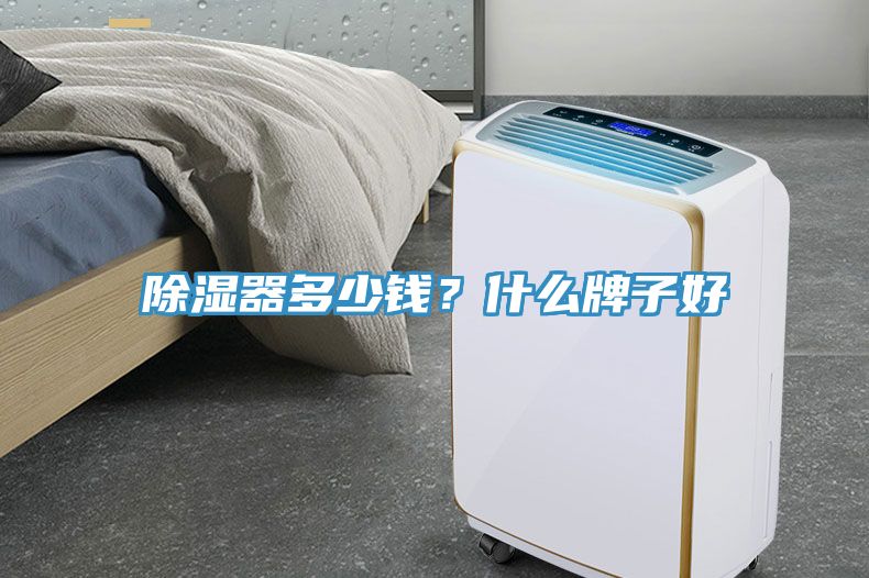 除濕器多少錢？什么牌子好