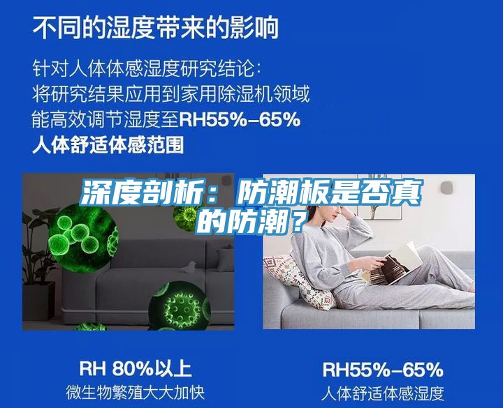 深度剖析：防潮板是否真的防潮？