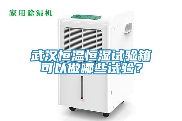 武漢恒溫恒濕試驗(yàn)箱可以做哪些試驗(yàn)？