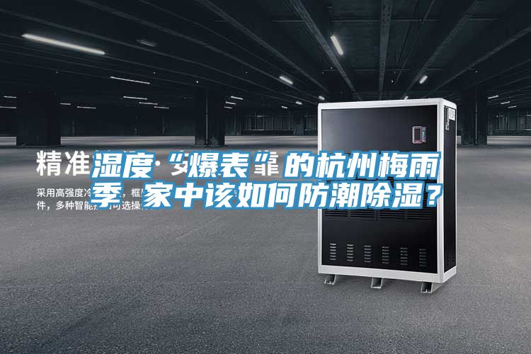 濕度“爆表”的杭州梅雨季 家中該如何防潮除濕？