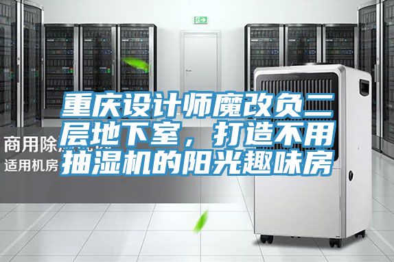 重慶設(shè)計(jì)師魔改負(fù)二層地下室，打造不用抽濕機(jī)的陽光趣味房