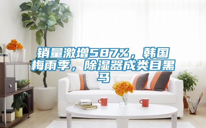 銷量激增587%，韓國梅雨季，除濕器成類目黑馬
