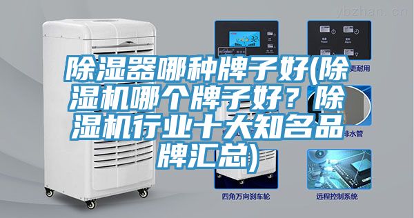 除濕器哪種牌子好(除濕機(jī)哪個(gè)牌子好？除濕機(jī)行業(yè)十大知名品牌匯總)