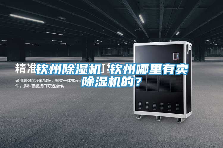 欽州除濕機(jī) 欽州哪里有賣除濕機(jī)的？