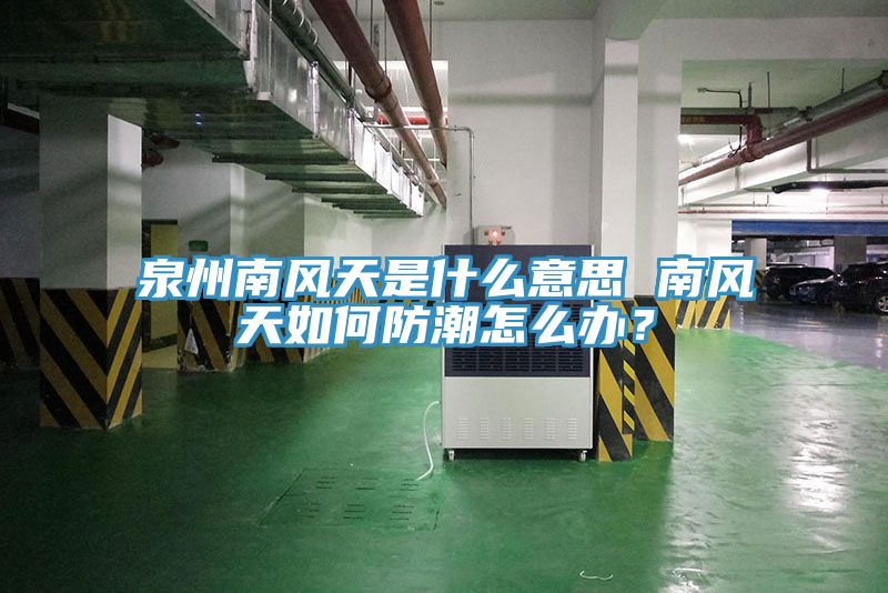 泉州南風(fēng)天是什么意思 南風(fēng)天如何防潮怎么辦？