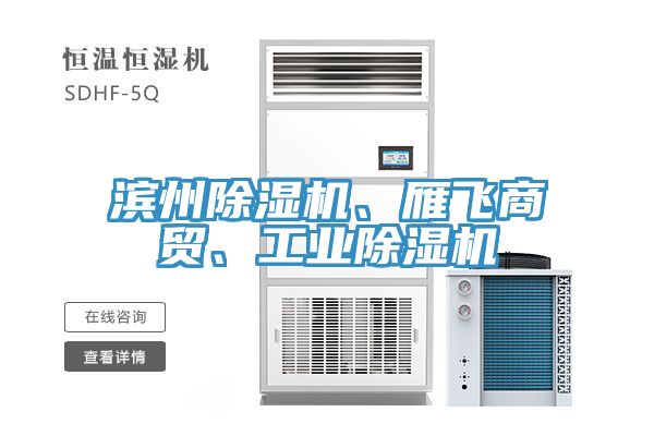 濱州除濕機(jī)、雁飛商貿(mào)、工業(yè)除濕機(jī)