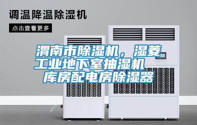 渭南市除濕機(jī)，濕菱工業(yè)地下室抽濕機(jī)  庫房配電房除濕器