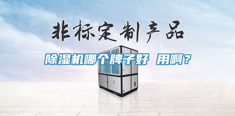 除濕機哪個牌子好 用?。?></div>
								<div   id=