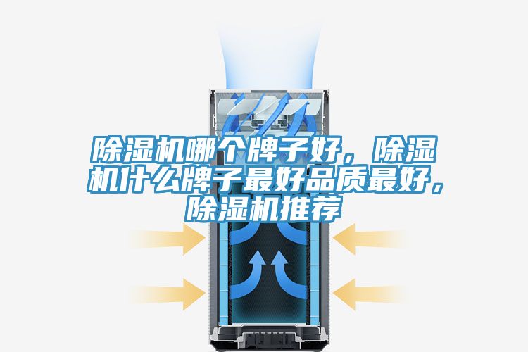 除濕機(jī)哪個(gè)牌子好，除濕機(jī)什么牌子最好品質(zhì)最好，除濕機(jī)推薦