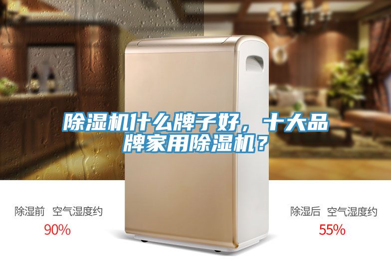 除濕機(jī)什么牌子好，十大品牌家用除濕機(jī)？