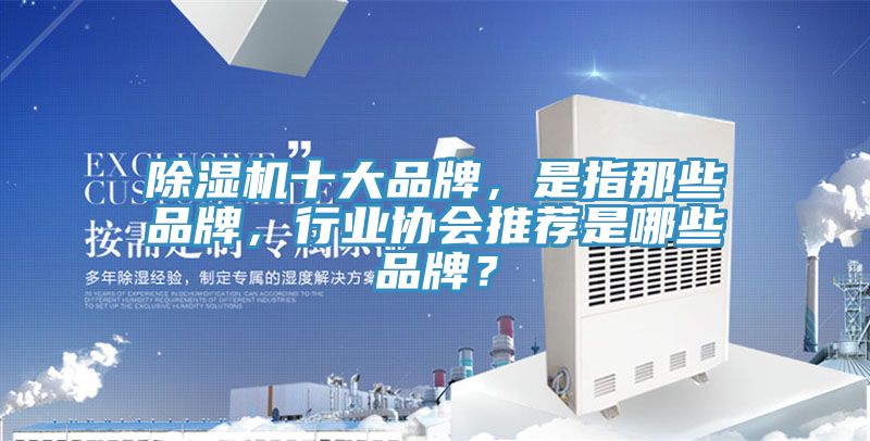 除濕機(jī)十大品牌，是指那些品牌，行業(yè)協(xié)會(huì)推薦是哪些品牌？