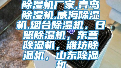 除濕機(jī)廠家,青島除濕機(jī),威海除濕機(jī),煙臺(tái)除濕機(jī)，日照除濕機(jī)，東營(yíng)除濕機(jī)，濰坊除濕機(jī)，山東除濕機(jī)