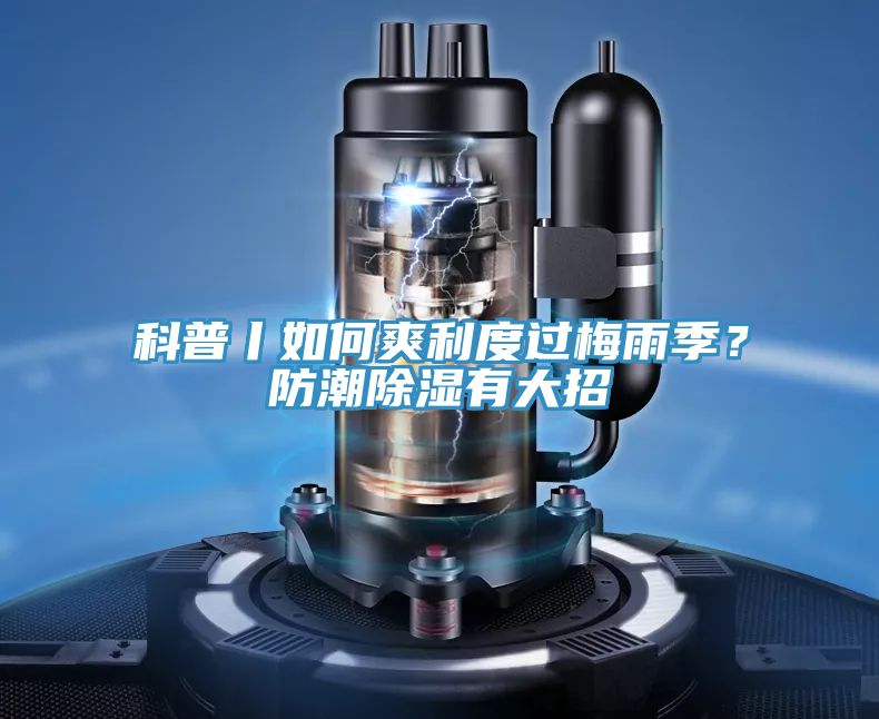 科普丨如何爽利度過梅雨季？防潮除濕有大招