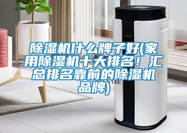 除濕機(jī)什么牌子好(家用除濕機(jī)十大排名！匯總排名靠前的除濕機(jī)品牌)