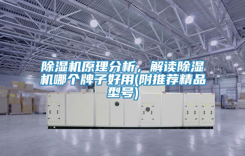 除濕機(jī)原理分析，解讀除濕機(jī)哪個(gè)牌子好用(附推薦精品型號(hào))