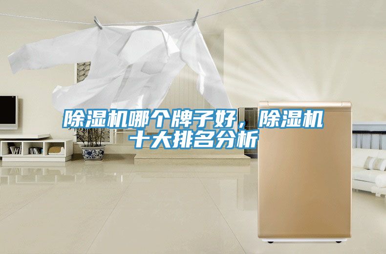 除濕機(jī)哪個(gè)牌子好，除濕機(jī)十大排名分析