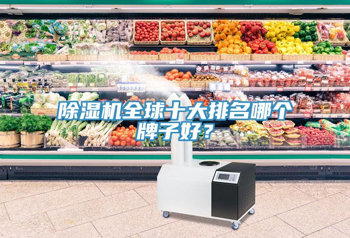 除濕機(jī)全球十大排名哪個牌子好？