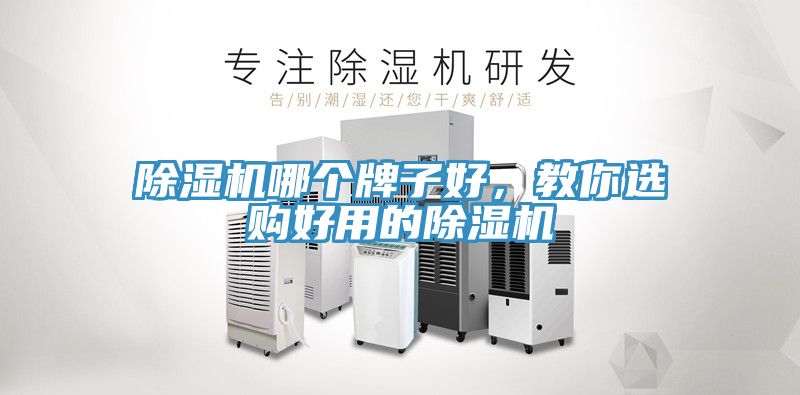 除濕機(jī)哪個(gè)牌子好，教你選購(gòu)好用的除濕機(jī)