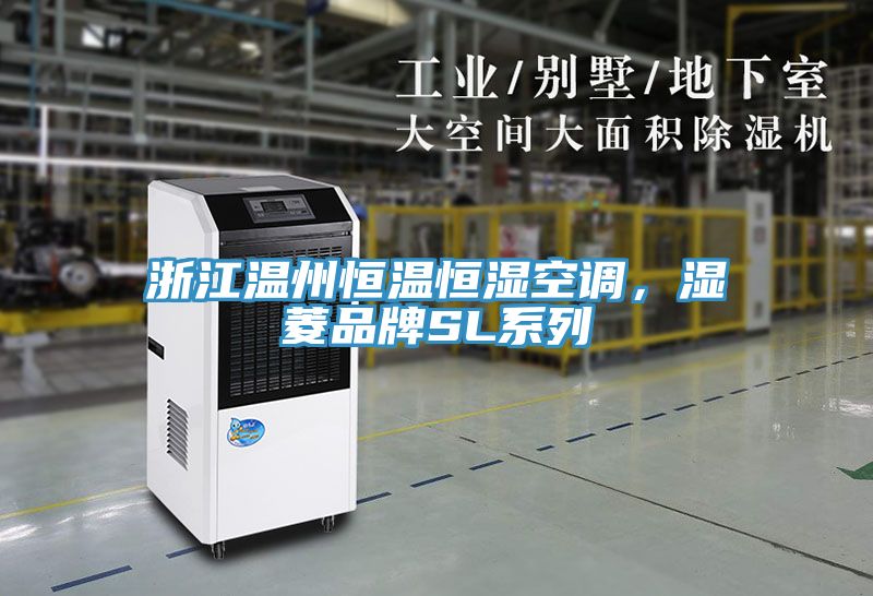 浙江溫州恒溫恒濕空調(diào)，濕菱品牌SL系列