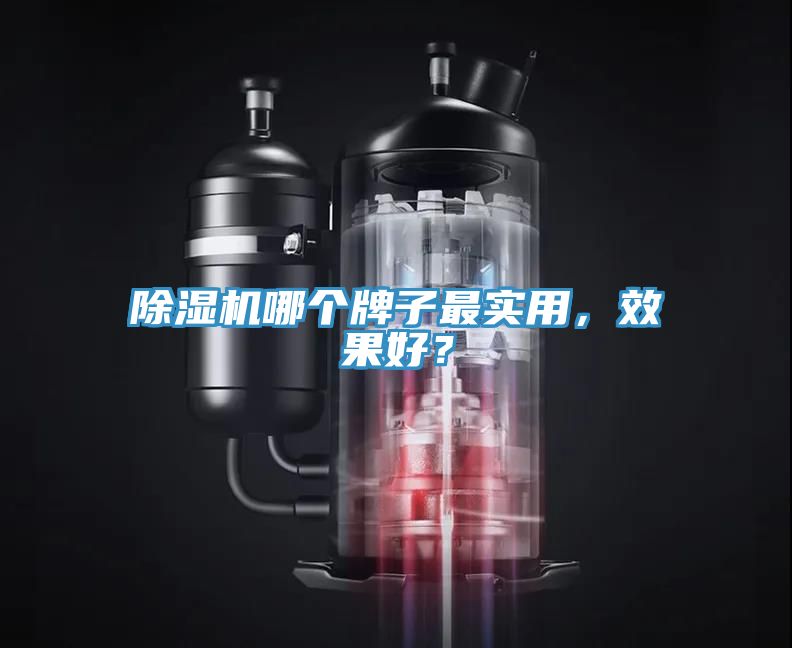 除濕機哪個牌子最實用，效果好？