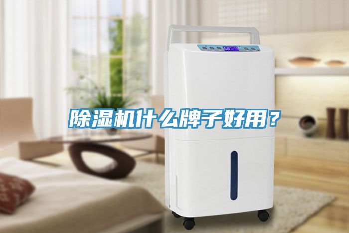 除濕機什么牌子好用？