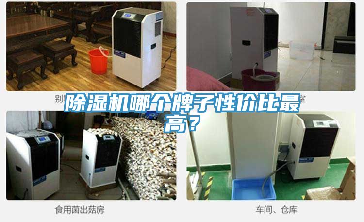 除濕機哪個牌子性價比最高？