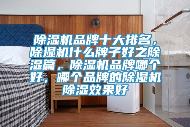 除濕機(jī)品牌十大排名，除濕機(jī)什么牌子好之除濕篇，除濕機(jī)品牌哪個(gè)好，哪個(gè)品牌的除濕機(jī)除濕效果好