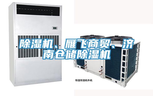 除濕機、雁飛商貿、濟南倉儲除濕機
