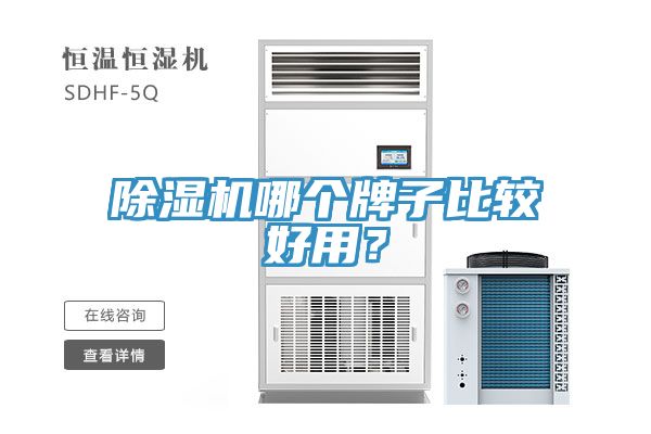除濕機哪個牌子比較好用？